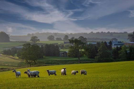 Hollybank Barn Villa Dorchester Luaran gambar